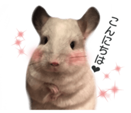 chinchilla's cute sticker vol.3 sticker #15864166