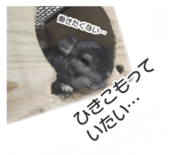 chinchilla's cute sticker vol.3 sticker #15864168