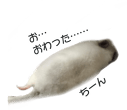 chinchilla's cute sticker vol.3 sticker #15864170