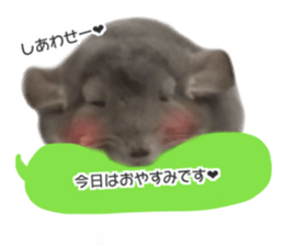 chinchilla's cute sticker vol.3 sticker #15864171