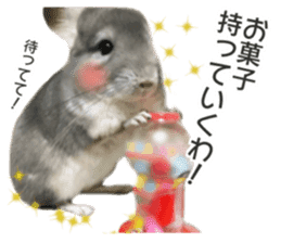 chinchilla's cute sticker vol.3 sticker #15864172