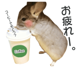chinchilla's cute sticker vol.3 sticker #15864173