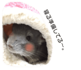 chinchilla's cute sticker vol.3 sticker #15864174