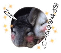 chinchilla's cute sticker vol.3 sticker #15864175