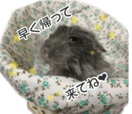 chinchilla's cute sticker vol.3 sticker #15864178