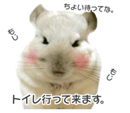 chinchilla's cute sticker vol.3 sticker #15864179