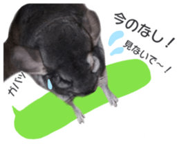 chinchilla's cute sticker vol.3 sticker #15864180