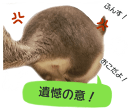 chinchilla's cute sticker vol.3 sticker #15864181