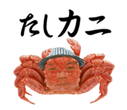 crabhajime sticker #15865218