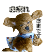 till dog be healed 2 sticker #15865452