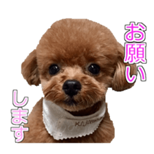 till dog be healed 2 sticker #15865455