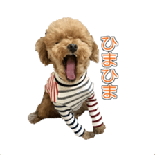 till dog be healed 2 sticker #15865459