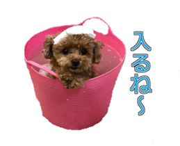 till dog be healed 2 sticker #15865464