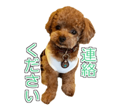 till dog be healed 2 sticker #15865465