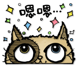Mini & Migi CAT sticker #15867061