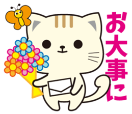 Funny facial cat and boon buddies sticker #15867940