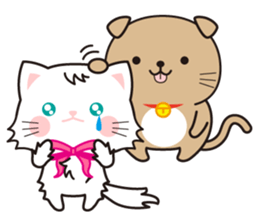 Funny facial cat and boon buddies sticker #15867946