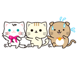 Funny facial cat and boon buddies sticker #15867959