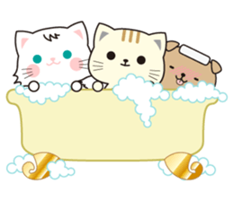 Funny facial cat and boon buddies sticker #15867966