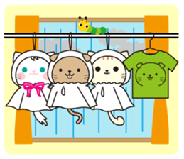 Funny facial cat and boon buddies sticker #15867969