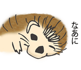 Sweetie Hedgehog sticker #15868333