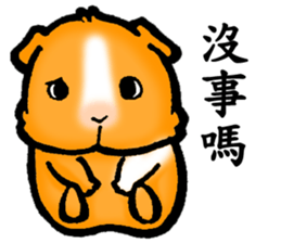 Guinea pigs Fifi_1 sticker #15868909