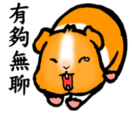 Guinea pigs Fifi_1 sticker #15868910