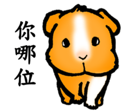 Guinea pigs Fifi_1 sticker #15868911
