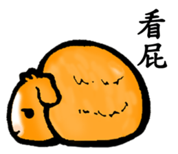 Guinea pigs Fifi_1 sticker #15868912