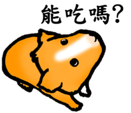 Guinea pigs Fifi_1 sticker #15868913