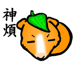 Guinea pigs Fifi_1 sticker #15868914