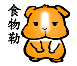 Guinea pigs Fifi_1 sticker #15868918