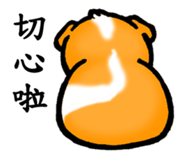 Guinea pigs Fifi_1 sticker #15868920