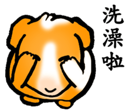 Guinea pigs Fifi_1 sticker #15868921