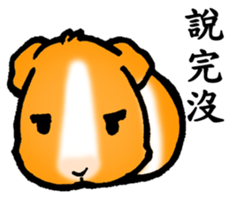 Guinea pigs Fifi_1 sticker #15868925