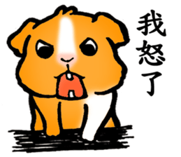 Guinea pigs Fifi_1 sticker #15868928