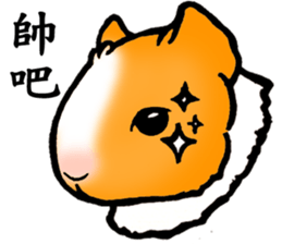 Guinea pigs Fifi_1 sticker #15868929