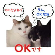 Cat staffs stickers for many scenes sticker #15869473