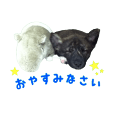 Cat staffs stickers for many scenes sticker #15869475