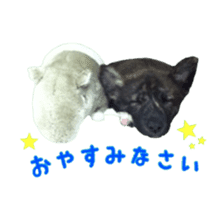 Cat staffs stickers for many scenes sticker #15869475