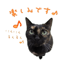 Cat staffs stickers for many scenes sticker #15869478