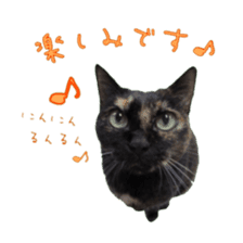 Cat staffs stickers for many scenes sticker #15869478