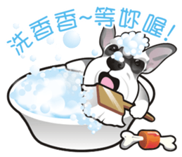 Bright Bright Dog-KaKa sticker #15869616