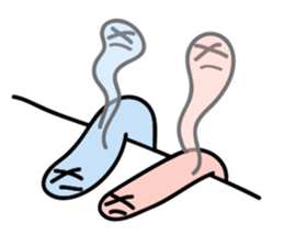 Two lazy worms sticker #15870300
