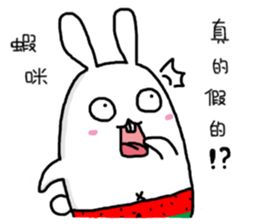 Watermelon Rabbit sticker #15872529