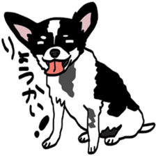 DOGDOGDOG Sticker4 sticker #15872555