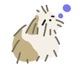 Fluffy Shih-tzu sticker #15872579