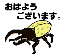 beetle and stag beetle(daily life's) sticker #15874298