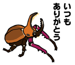 beetle and stag beetle(daily life's) sticker #15874302