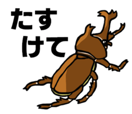 beetle and stag beetle(daily life's) sticker #15874307